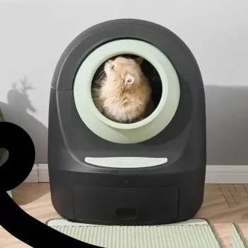 Oversized Self-Cleaning Litter Box: Comfort & Odor Control