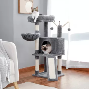 Best Cat Scratching Post: Height, Stability & Sisal Tips